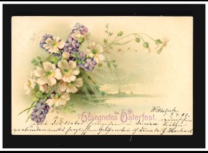 Ostern Gesegnetes Osterfest Blüten, Wittstock /Königs-Wusterhausen 11.+12.4.1903