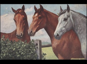 Feldpost mit BS 5.A.M.K. 16.A.K. FELDPOST 4.2.17 auf AK Gemälde Drei Pferde