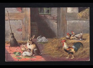 Tiere-AK Im Stall - mit Hühnern und Hasen, Verlag T.S.N., ungebraucht 