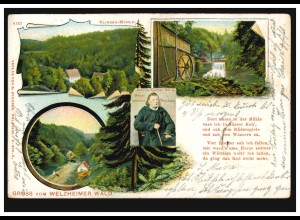 AK Gruss vom Welzheimer Wald mit 4 Bildern, WELZHEIM 19.11.1902 nach WIESBADEN 