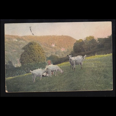 Tiere-AK Dorfidylle: Frau mit Ziegen am Hang, BECKENDORF / OSCHERSLEBEN 1920