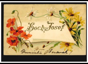 Ansichtskarte Vornamen: Hoch Josef! Blumenzweige, WIEN 14.3.1903