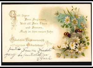 AK Glückwünsche Geburtstag Margeriten mit Bienen, M.Gladbach 11.11.1898