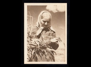 AK Erntezeit: Frau auf dem Feld bei Kontrolle des Getreides, ungebraucht
