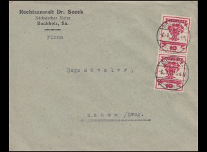 107 Nationalversammlung portogerechte MeF auf Brief BUCHHOLZ 6.3.1920 nach Sehma