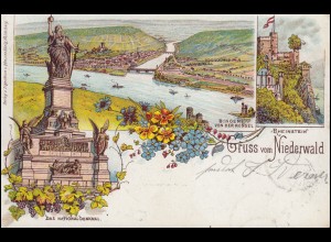 Ansichtskarte Gruss vom Niederwald Denkmal Bingen Rheinstein RÜDESHEIM 18.9.1897