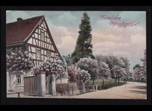 AK Pfingsten: Blühende Dorfstraße, CHEMNITZ 4 a 6.6.1911