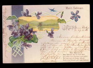 Lyrik-AK Landschaft mit Veilchen Gruß aus ... Gedicht Mein Sehnen, Bahnpost 1901