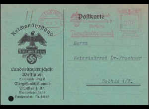 AFS Reichsnährstand Tiergesundheitsamt Münster 13.8.38 auf Postkarte nach Bochum