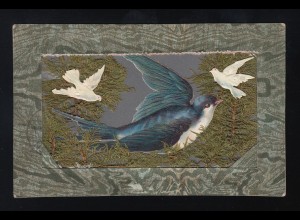 Schwalbe in einem Nest aus Farn Moos 2 weiße Tauben fliegen, Groningen 28.1.1906