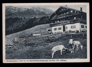 AK Blomberghaus, Bendiktenwandgruppe und Rinder / Kühe bei BAD TÖLZ 22.8.1942