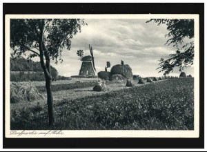 Landwirtschaft Insel Föhr Windmühle Heu Ernte Sommer Bauern, ungebraucht