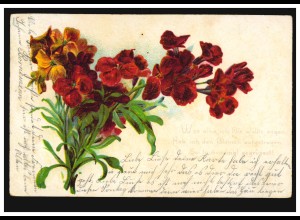 Lyrik-AK Vergissmeinnicht mit passendem Gedicht Blumensprache, LAUENAU 1.7.1904