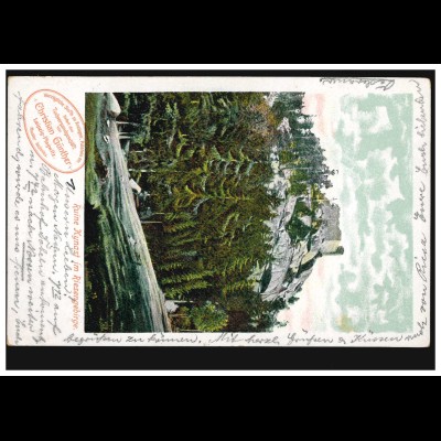 AK Ruine Kynast im Riesengebirge, RIESA 30.10.1904 nach DÖBELN 31.10.04