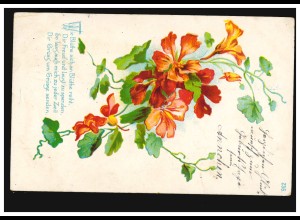 Blumen-AK Nelkenzweig mit Gedicht, HEIDMÜHLE 11.3.1907 nach FRIEDEBURG 12.3.07