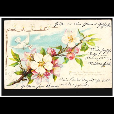 Blumen-AK Blumensprache - Blütenzweig mit Brieftauben, EINÖLLEN 12.3.1903