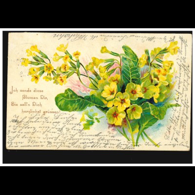 Blumen-AK Gelbe Büschel-Nelken, nach LAUENAU 8..2.1902 nach HANNOVER 8.2.02