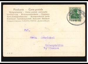 Bahnpost ILMENAU-THEMAR 1907 auf Künstler AK Rösler: Auerhühner bei der Balz