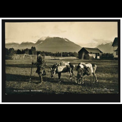 Norwegen Foto-AK Rundhaugen: Same mit seinen Rentieren, NARVIK 25.8.1938