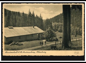 Foto-AK Rinderstall bei Sankt Andreasberg / Oberharz, ungebraucht, um 1920