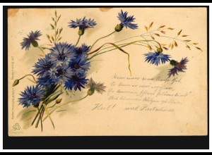 Blumen-AK Violette Nelken, nach KARLSBAD 1 - 4.8.1899