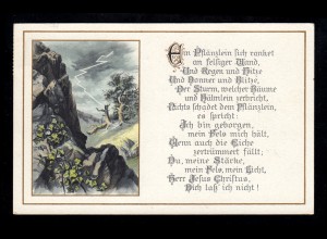 Lyrik-AK Landschaft mit Gedicht Der Blitzeinschlag in die Eiche, TEUFEN 7.3.1925