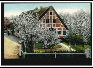 Künstler-AK Kirschenland - Bauernhof mit blühenden Kirschbäumen, ungebraucht