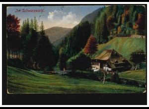 Ansichtskarte Im Schwarzwald, WALDKIRCH (BREISGAU) 14.2.1925