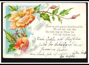 Blumen-AK Blumenranke und Sehnsuchtsgedicht, BOCKENEM 21.7.1903 nach MORINGEN