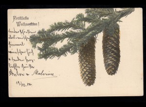 AK Weihnachten: Tannenzweig mit Tannenzapfen, 20.12.1904 