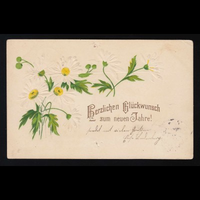 Margeriten auf weißem Grund, Glückwunsch zum neuen Jahre, Berlin S.W. 2.1.1904 