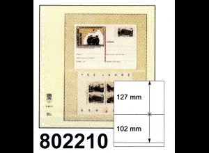 LINDNER-T-Blanko - Einzelblatt 802 210