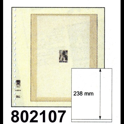 LINDNER-T-Blanko-Blätter Nr. 802 107 - 10er-Packung, Streifenhöhe 238 mm