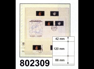 LINDNER-T-Blanko-Blätter 802 309 - 10er-Packung