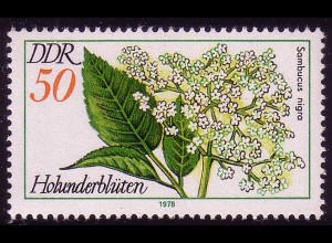 2292 Arzneipflanzen 50 Pf Schwarzer Holunder **