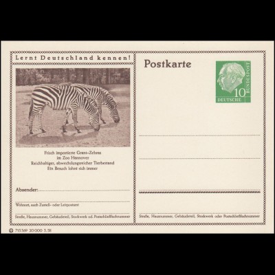 P024-333 Hannover, Zoo, Zebra **