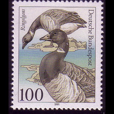 1541 Seevögel 100 Pf Ringelgans **