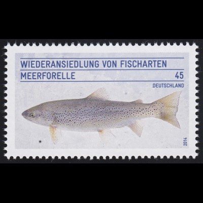 3120 Wiederansiedlung der Fischarten - Die Meerforelle **