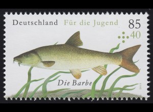 3170 Jugend - Süßwasserfische: Die Barbe **