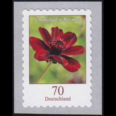 3197 Blume Schokoladen-Kosmee 70 Cent, SELBSTKLEBEND, ** postfrisch