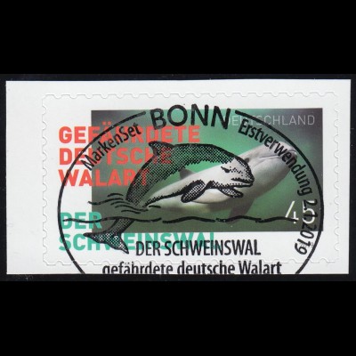 3437 Der Schweinswal, selbstklebend aus FB 84, EV-O Bonn 2.1.19