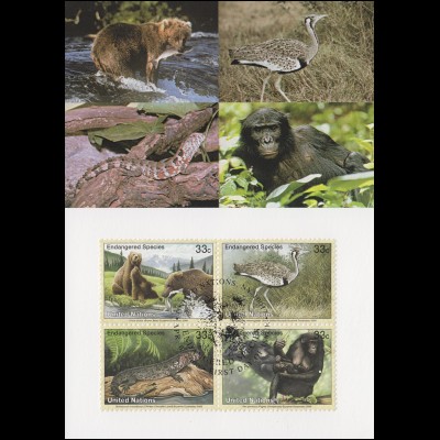 MK 62 von UNO New York 831-834 Gefährdete Arten Fauna 2000, amtl. Maximumkarte 